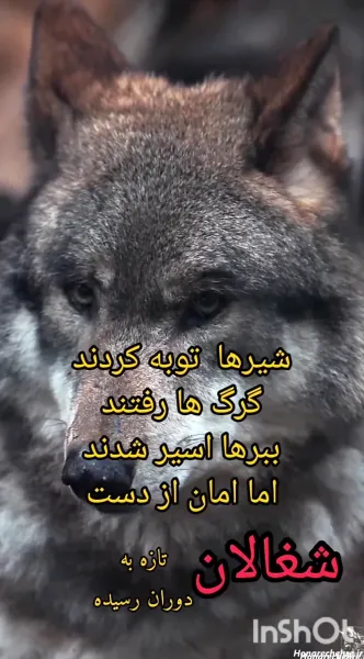  عکس متن دار لاتی پر معنی