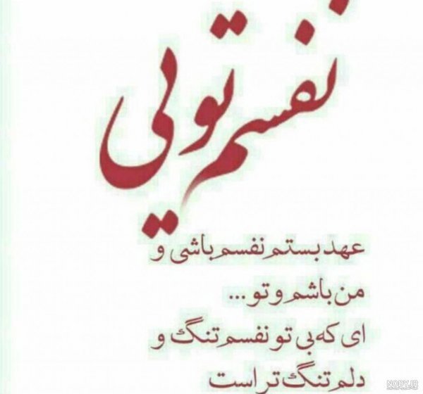  پروف عاشقانه لاتی جدید