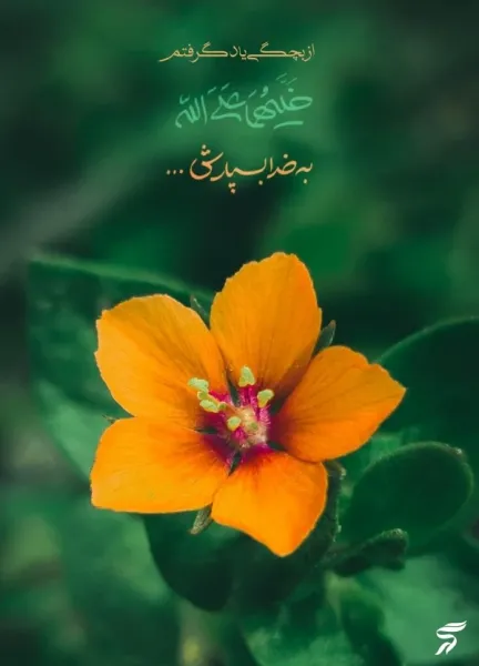  عکس نوشته خدایی