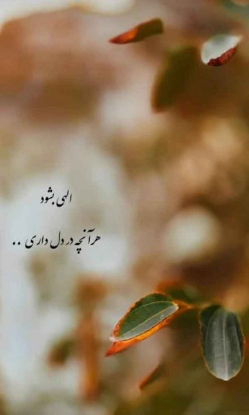  دانلود عکس های شاد و پر انرژی جدید