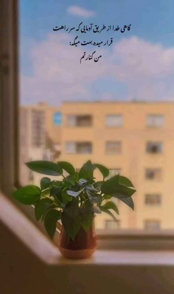  دانلود عکس های شاد و پر انرژی جدید