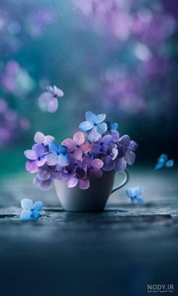  عکس پروفایل برای روبیکا