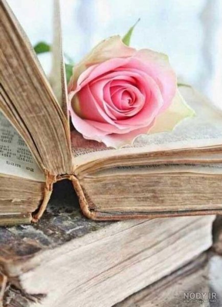  عکس پروفایل برای شاد درسی