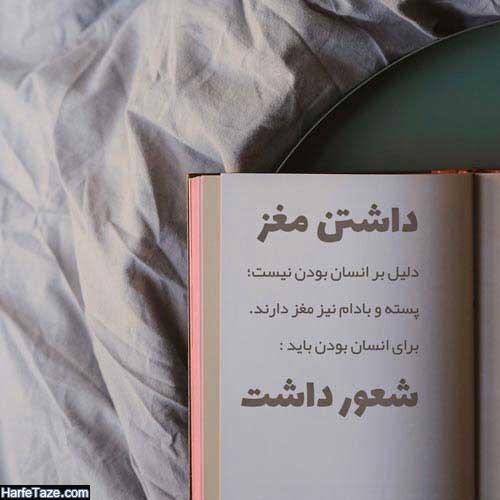  عکس نوشته جدید و زیبا برای پروفایل تلگرام