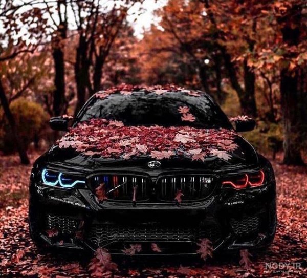  عکس بی ام و