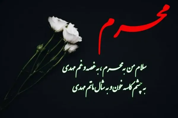  عکس های ماه محرم 1405