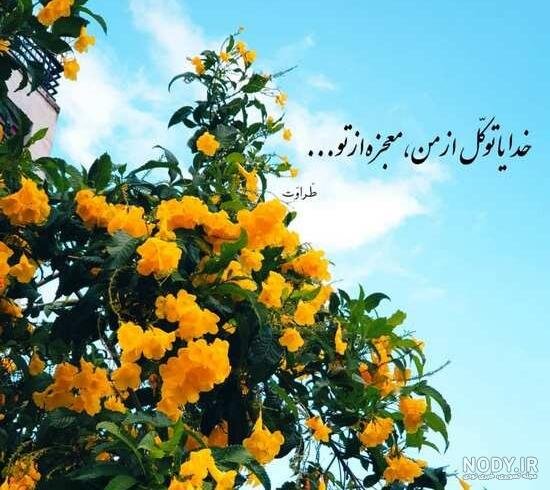  دانلود عکس نوشته های جدید برای پروفایل