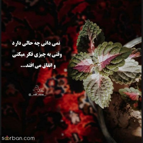  دانلود عکس نوشته های خفن برای استاتوس واتساپ