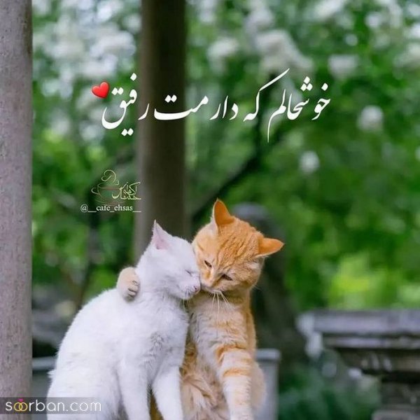  دانلود عکس نوشته های خفن برای استاتوس واتساپ