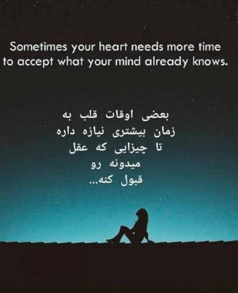  بهترین کلیپ برای استوری واتساپ