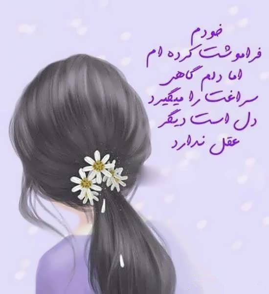  بهترین کلیپ برای استوری واتساپ