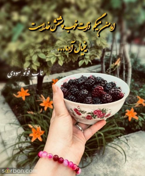 کلیپ استوری جدید امروز