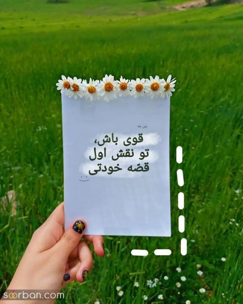 کلیپ استوری جدید امروز