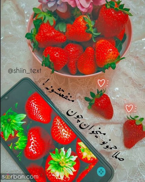 کلیپ استوری جدید امروز