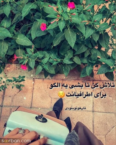 کلیپ استوری جدید امروز