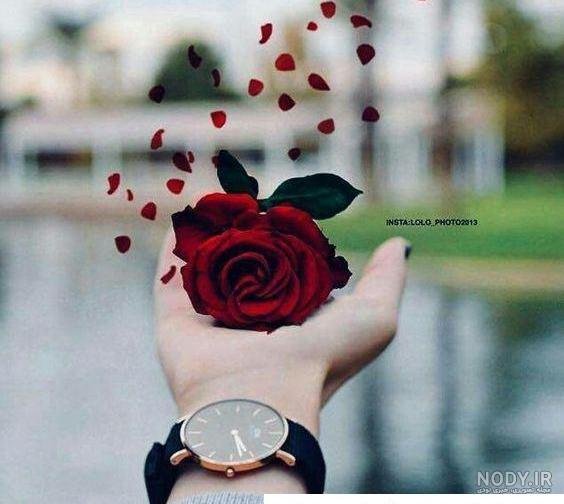  کلیپ دخترانه برای وضعیت واتساپ شاد