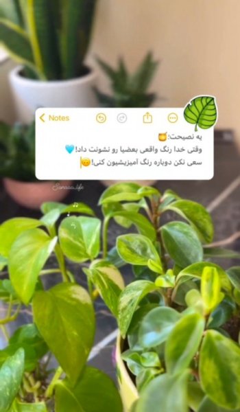  کلیپ دلنوشته خدا برای وضعیت واتساپ