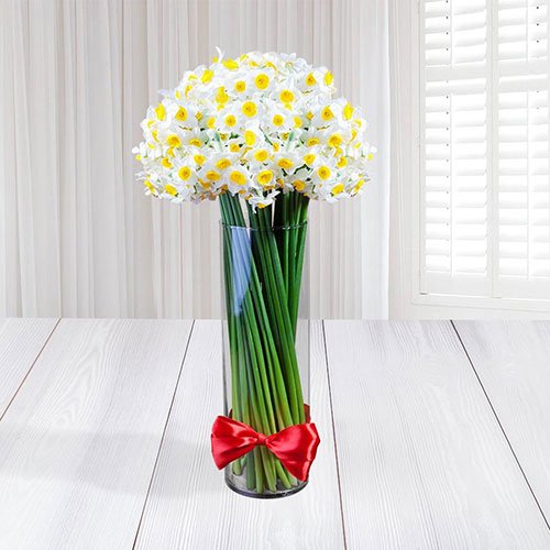  عکس های زیبا از گل نرگس برای پروفایل جدید