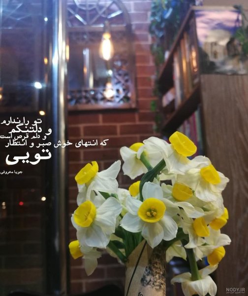  عکس پروفایل گل نرگس امام زمان