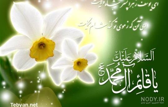  عکس پروفایل گل نرگس امام زمان