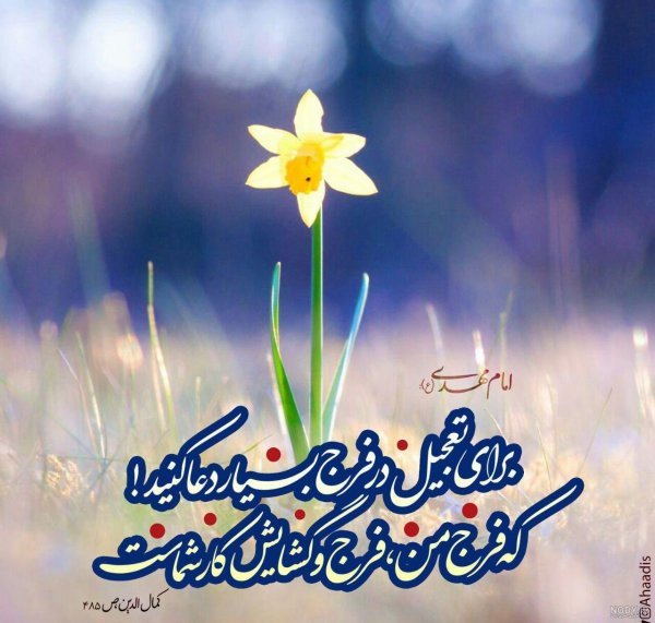  عکس پروفایل گل نرگس امام زمان