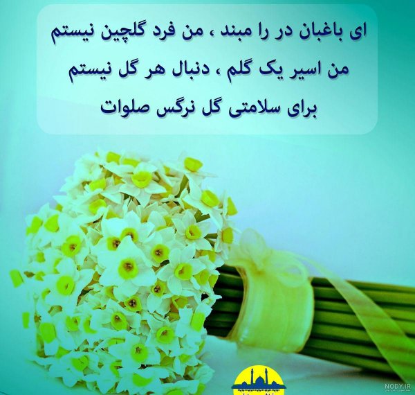 عکس پروفایل گل نرگس امام زمان