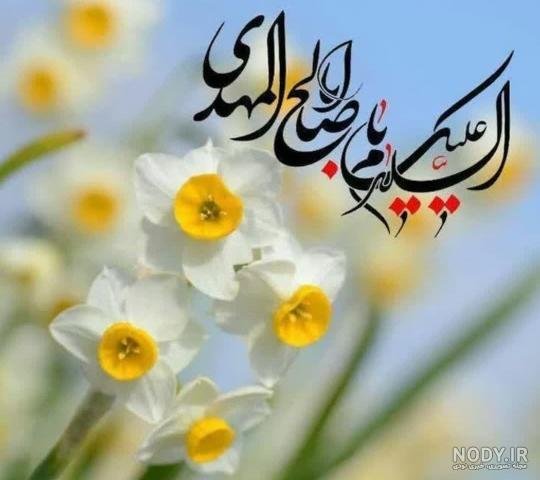  پروفایل اللهم عجل لولیک الفرج با گل نرگس