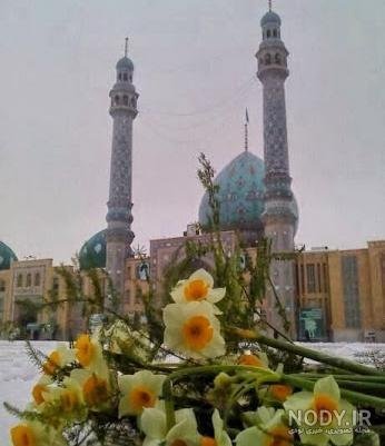  عکس گل نرگس و جمکران