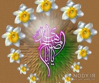  عکس گل نرگس مهدی جان