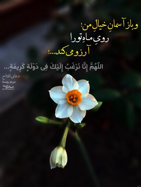  عکس اللهم عجل لولیک الفرج با کیفیت بالا