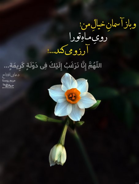  عکس اللهم عجل لولیک الفرج زیبا