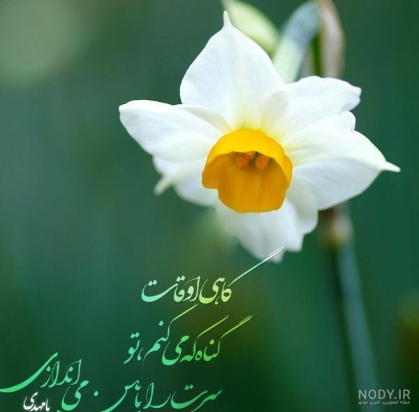  پروفایل اللهم عجل لولیک الفرج با فونت زیبا