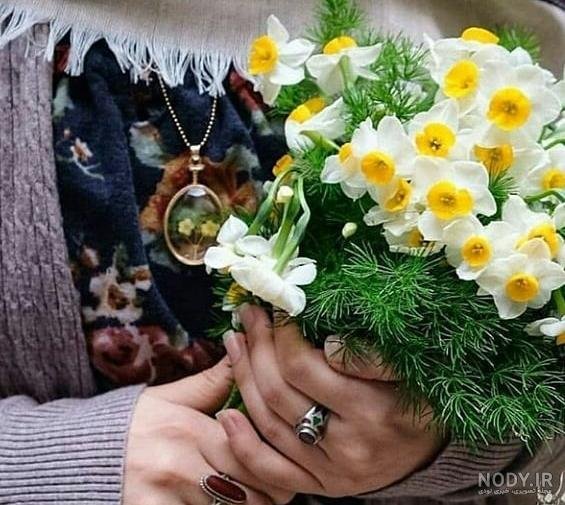  عکس پروفایل گل نرگس امام زمانی
