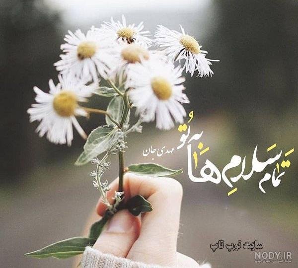  عکس پروفایل گل نرگس امام زمانی