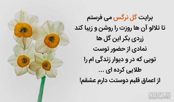  عکس پروفایل گل نرگس امام زمانی