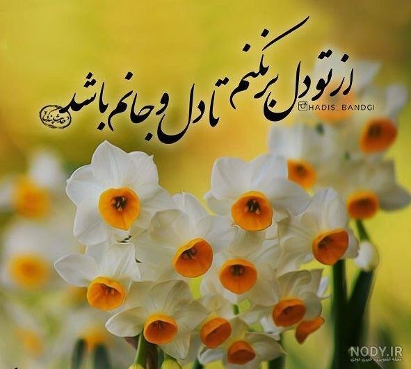  عکس پروفایل گل نرگس امام زمانی