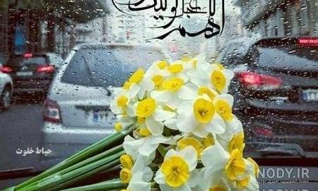  عکس پروفایل گل نرگس امام زمانی
