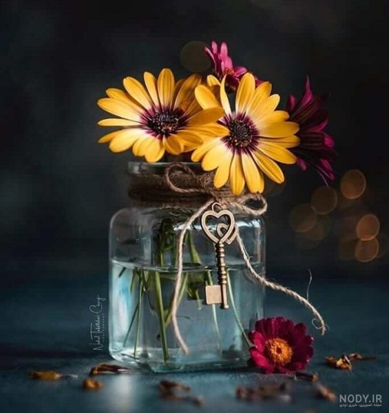  عکس پروفایل ساده و فانتزی