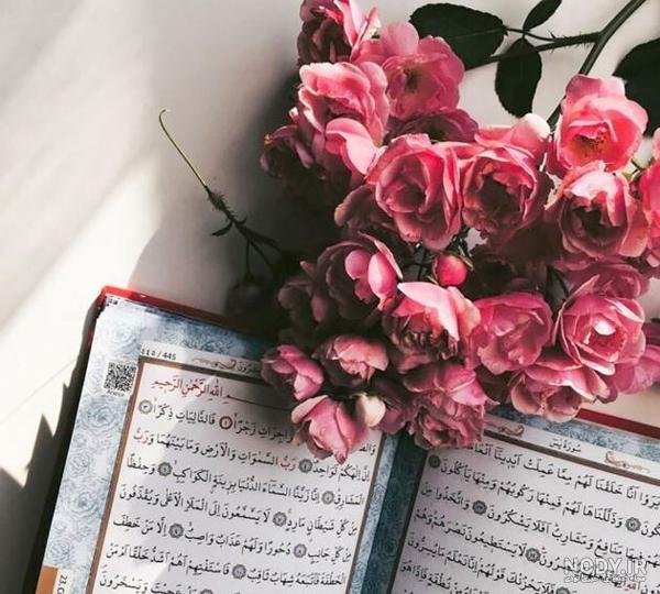  عکس پروفایل ساده و فانتزی