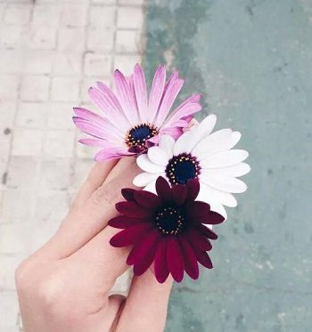  جدیدترین عکس های خاص دخترونه