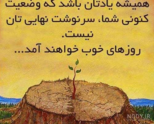 عکس های پند آموز برای استوری
