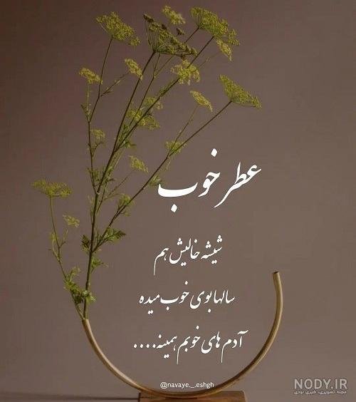  عکس های پند آموز برای استوری