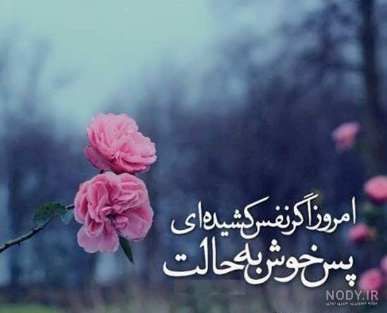  عکس پروفایل پند آموز زیبا
