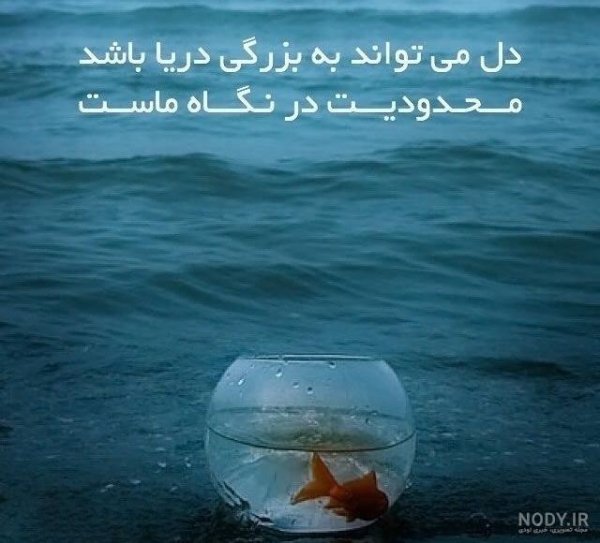  عکس پروفایل پند آموز زیبا