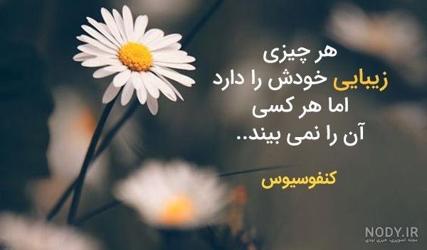  عکس پروفایل پند آموز زیبا