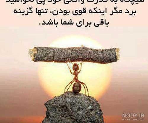  عکس جملات پند آموز برای پروفایل