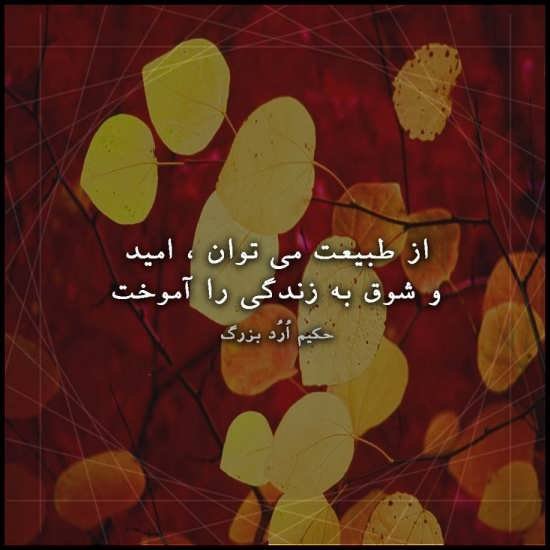  پروفایل زندگی جدید