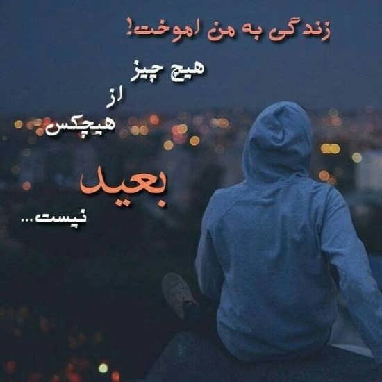  پروفایل زندگی جدید