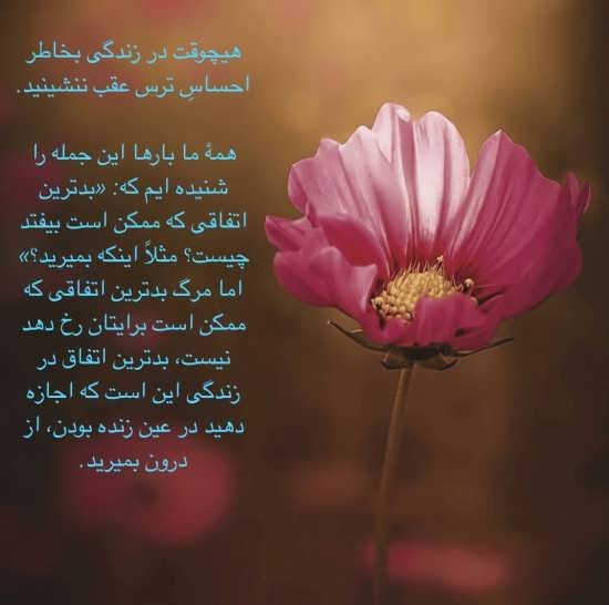  پروفایل زندگی جدید