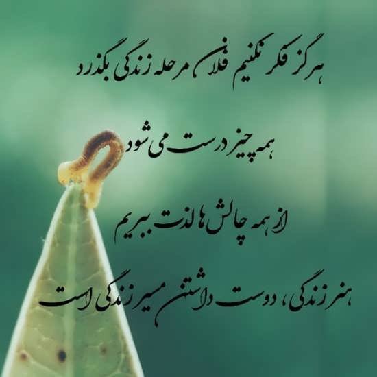  پروفایل زندگی جدید